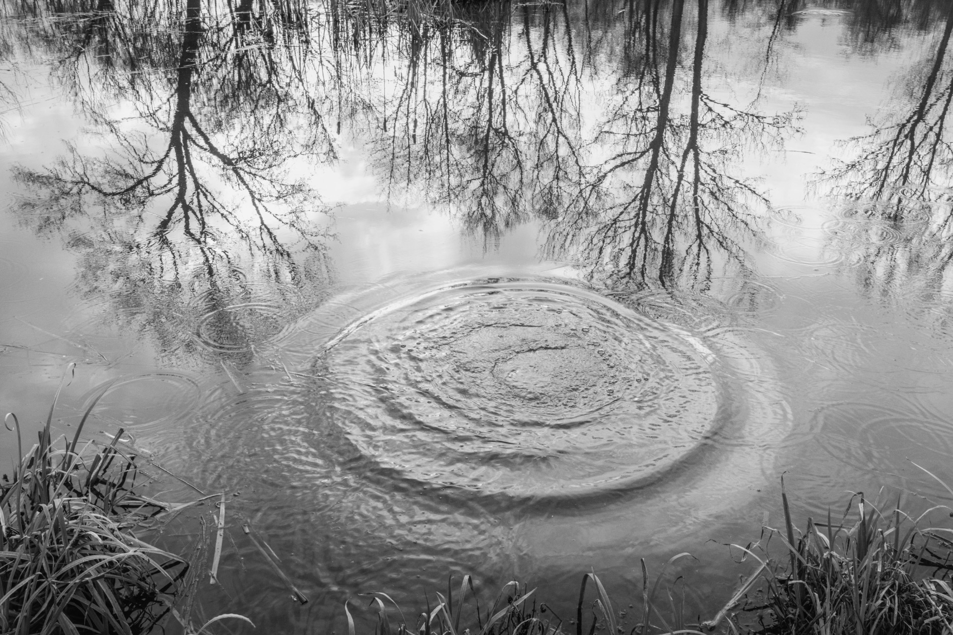 "Stopy, které zůstaly"