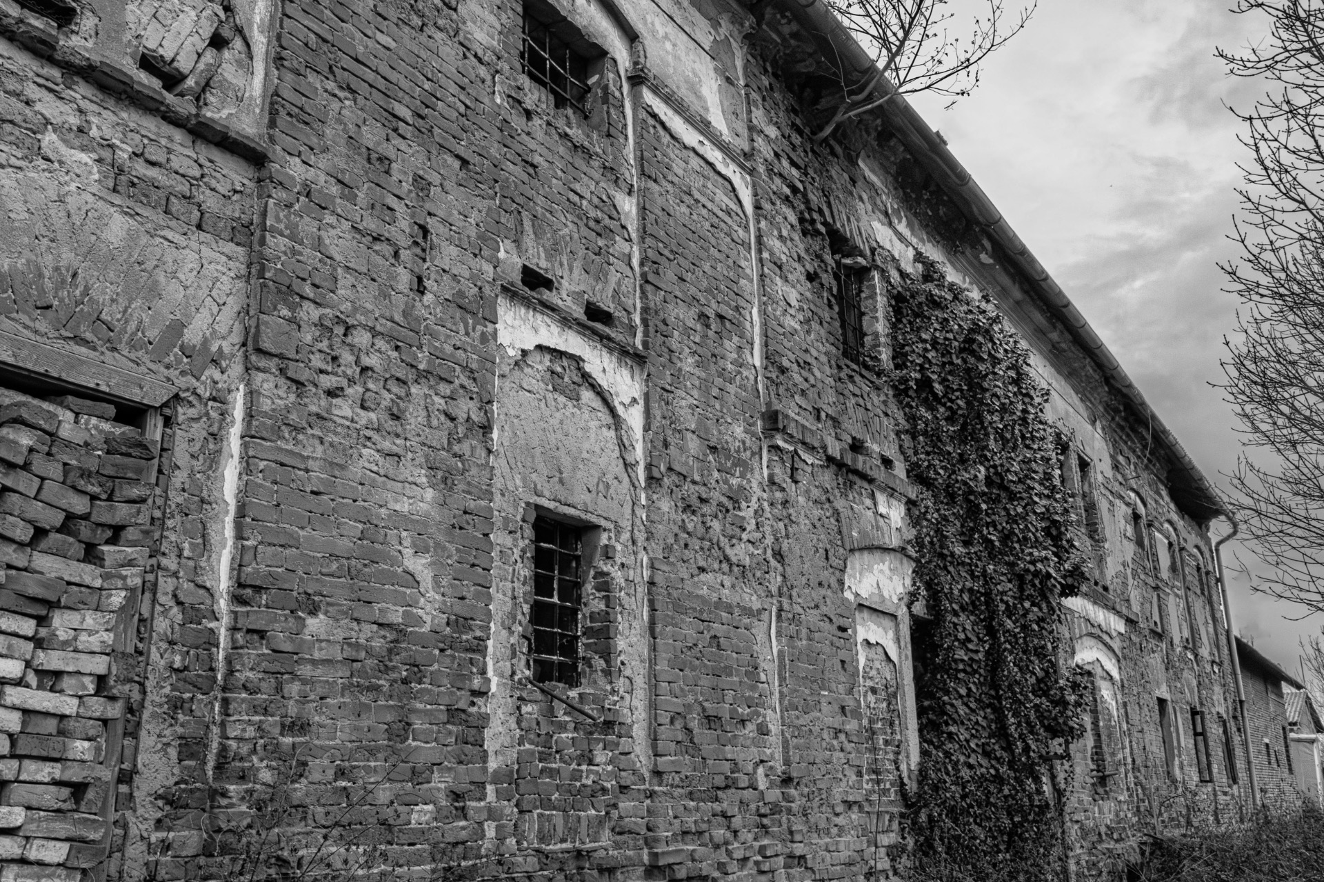 "Zdi, které dýchají ticho"