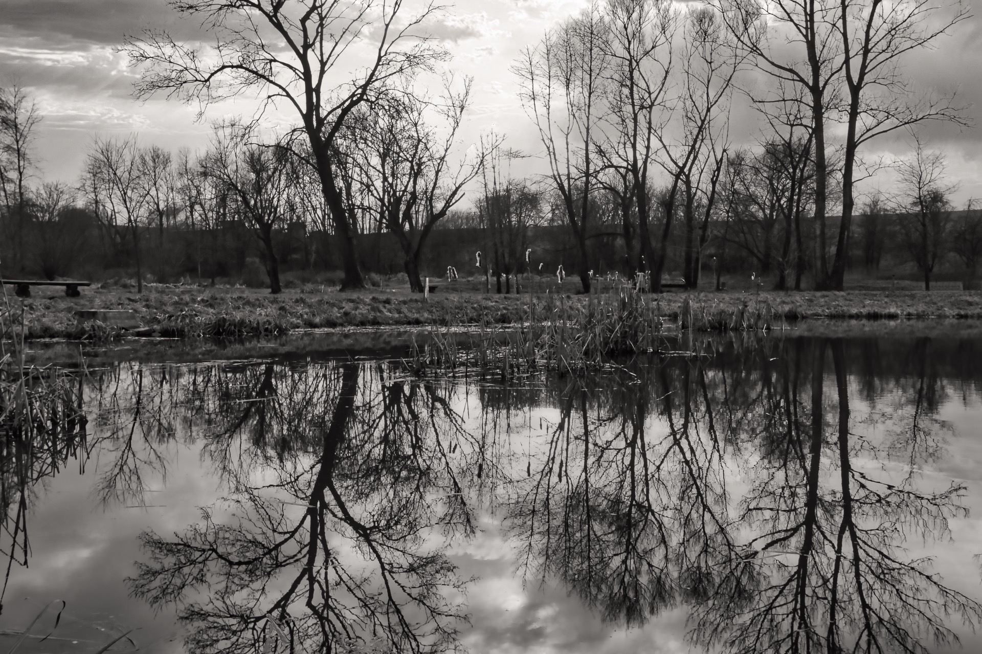 "Mezi dvěma světy"