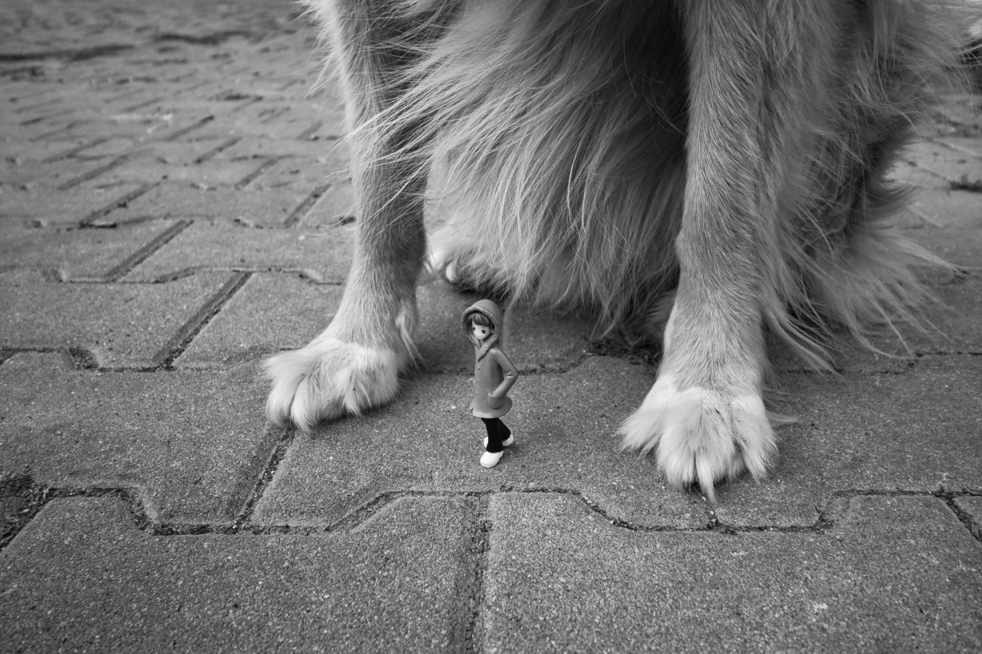 "Pod ochranou ticha"